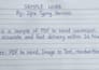 do fast and accurate typing and data entry work for you
